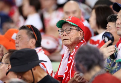 120725 - Japan v Wales - Summer Series - Second Test - Fans before the game
