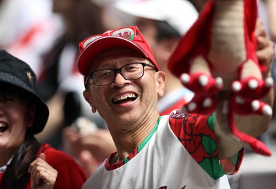 120725 - Japan v Wales - Summer Series - Second Test - Fans before the game