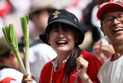 120725 - Japan v Wales - Summer Series - Second Test - Fans before the game