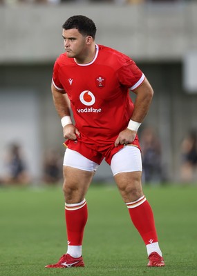 120725 - Japan v Wales - Summer Series - Second Test - Chris Coleman of Wales on his debut