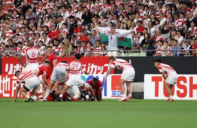 120725 - Japan v Wales - Summer Series - Second Test - A Wales fan celebrates near the whistle
