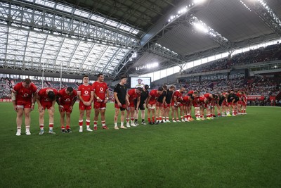 120725 - Japan v Wales - Summer Series - Second Test - 