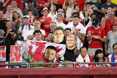 120725 - Japan v Wales - Summer Series - Second Test - Fans