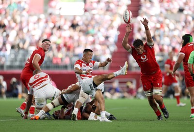 120725 - Japan v Wales - Summer Series - Second Test - Naito Sato of Japan 
