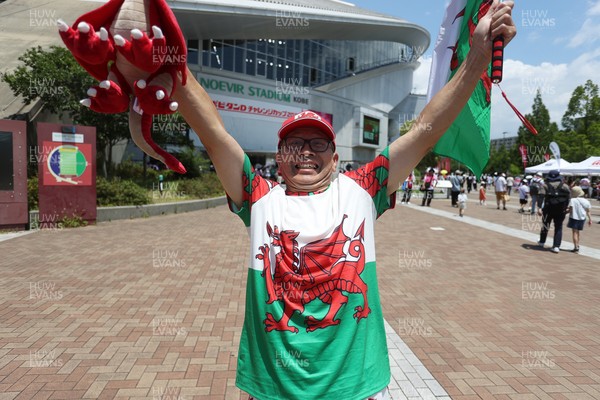 120725 - Japan v Wales - Summer Series - Second Test - Fans outside the stadium