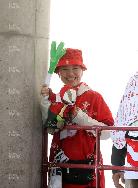120725 - Japan v Wales - Summer Series - Second Test - Fans