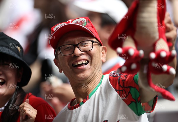120725 - Japan v Wales - Summer Series - Second Test - Fans before the game