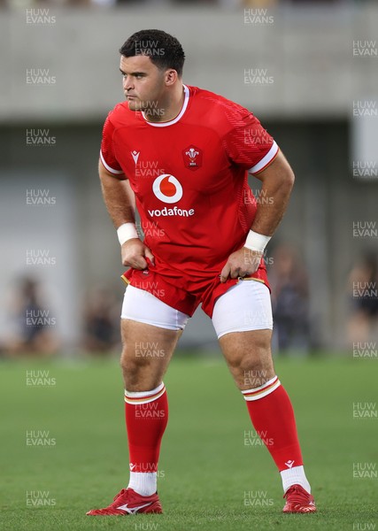 120725 - Japan v Wales - Summer Series - Second Test - Chris Coleman of Wales on his debut