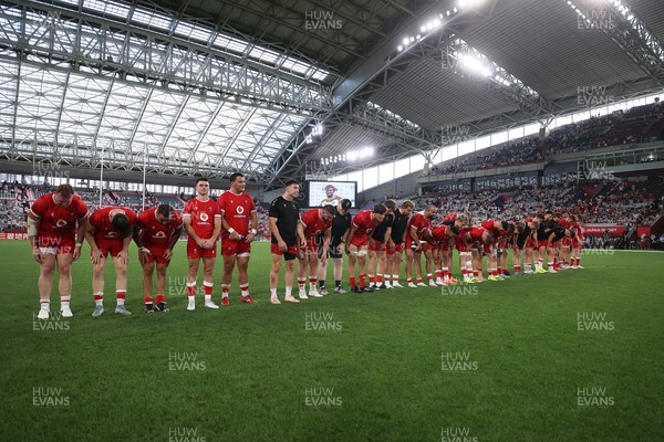 120725 - Japan v Wales - Summer Series - Second Test - 