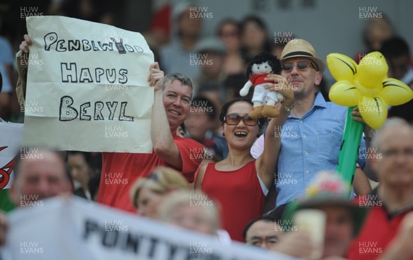 150613 - Japan v Wales -Wales fans