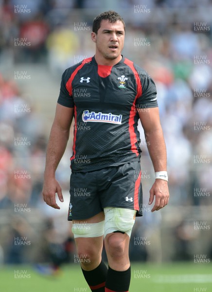 150613 - Japan v Wales -Andries Pretorius of Wales