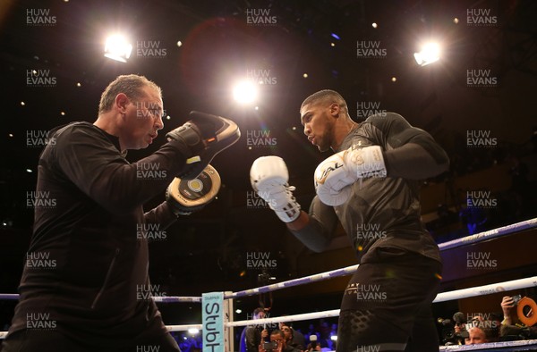 280318 - Joshua v Parker Public Workout at St Davids Hall, Cardiff - Anthony Joshua during his public workout