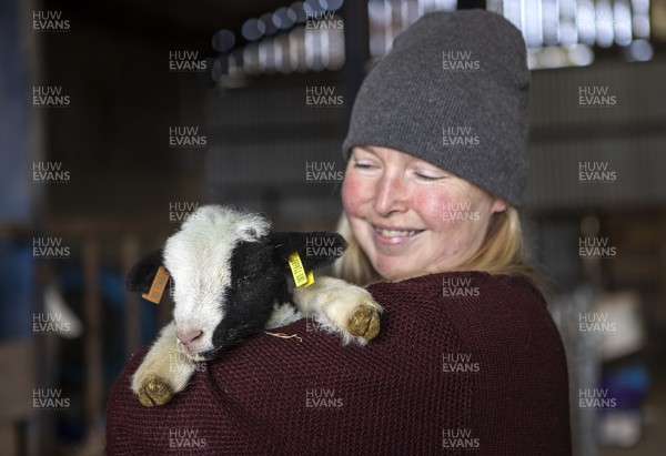 100321 - Picture shows on newly born Jacob lamb called Monty, a UK native rare breed of sheep with shepherdess� Samantha Matthews on her farm near Brecon, South Wales