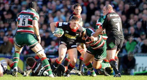 17.10.10 - Leicester Tigers v Llanelli Scarlets - Heineken Cup - Tavis Knoyle of Scarlets tries to find a way through. 