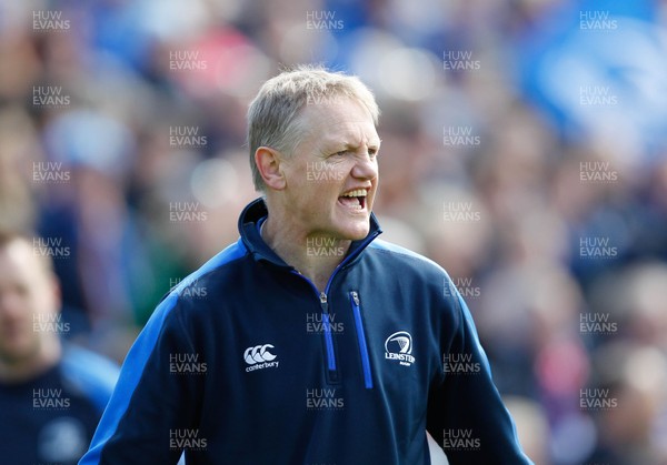 270413 - Leinster v Biarritz - Amlin Challenge Cup - Leinster's coach, Joe Schmidt, gets the team going in the pre-game warm up 