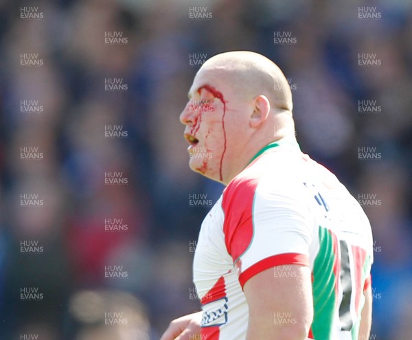 270413 - Leinster v Biarritz - Amlin Challenge Cup - Ben Broster of Biarritz gets a cut on his head 