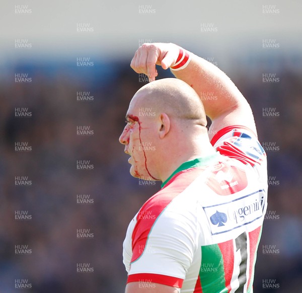 270413 - Leinster v Biarritz - Amlin Challenge Cup - Ben Broster of Biarritz gets a cut on his head 