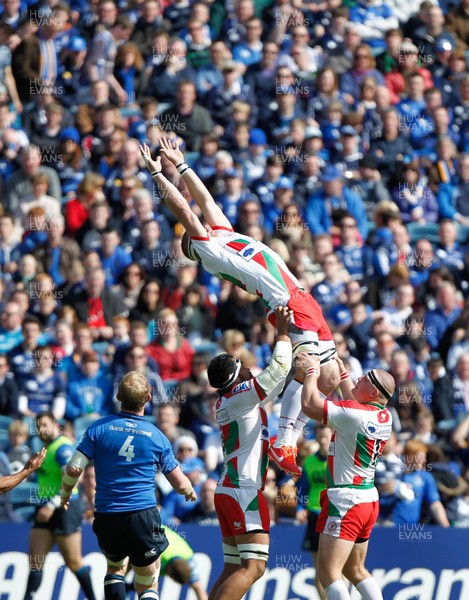 270413 - Leinster v Biarritz - Amlin Challenge Cup - Imanol Harinordoquy of Biarritz receives the ball after the kick off 