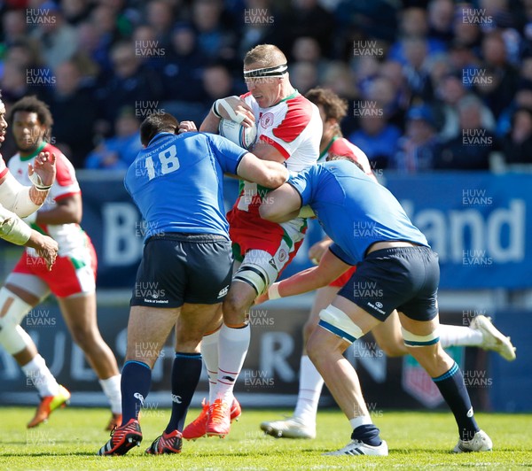 270413 - Leinster v Biarritz - Amlin Challenge Cup - Imanol Harinordoquy of Biarritz is tackled by Jamie Hagan and Rhys Ruddock of Leinster 