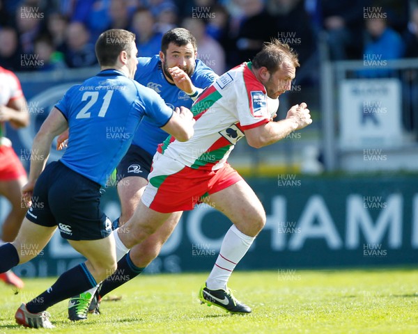 270413 - Leinster v Biarritz - Amlin Challenge Cup - Arnaud Heguy of Biarrtiz breaks past John Cooney of Leinster to score a consolation try for Biarritz 