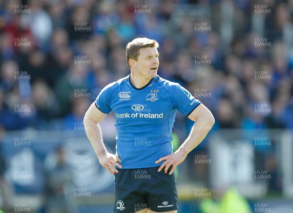 270413 - Leinster v Biarritz - Amlin Challenge Cup - Brian O'Driscoll of Leinster 