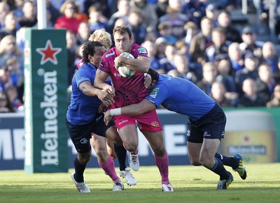 Leinster v Exeter 131012