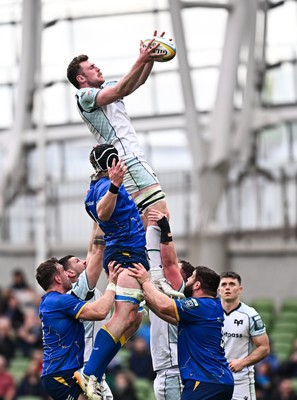 160526 - Leinster v Ospreys - United Rugby Championship - James Ratti of Ospreys wins lineout ball