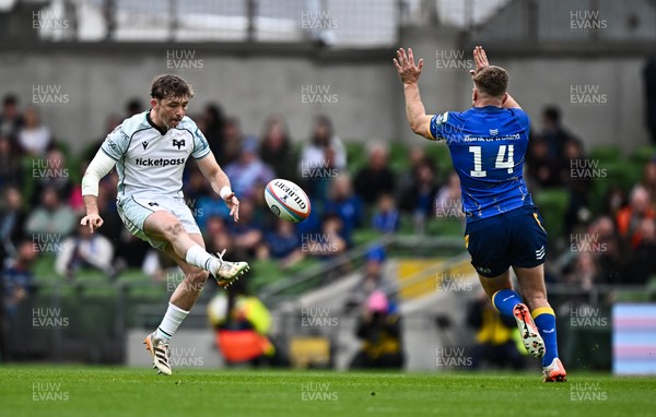 160526 - Leinster v Ospreys - United Rugby Championship - Dan Edwards of Ospreys has a kick charged down by Jordan Larmour of Leinster