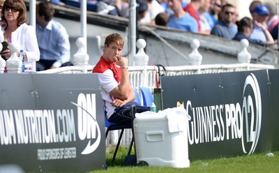 Leinster v Scarlets 130914