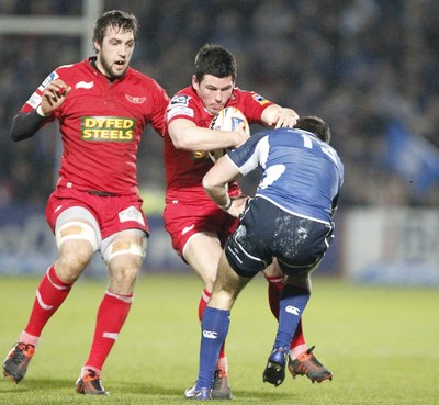 170212 - Leinster v Scarlets - RaboDirect Pro12 -Scarlets' Dan Newton is tackled by Leinster's Eoin O'Malley