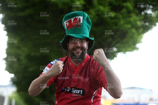 190517 - Leinster v Scarlets - Guinness PRO12 Semi Final - A passionate Scarlets fan