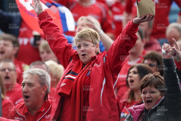 190517 - Leinster v Scarlets - Guinness PRO12 Semi Final - Scarlets fans cheer as the players warm up