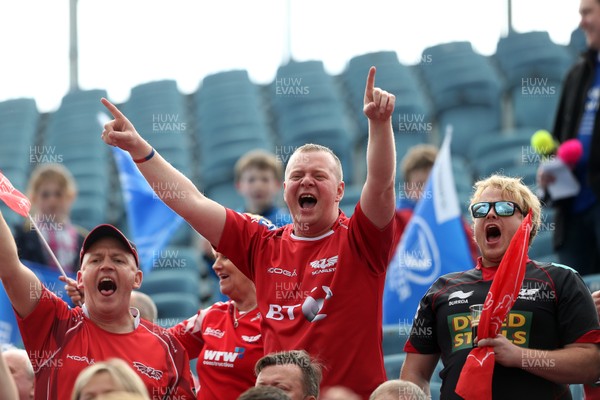 190517 - Leinster v Scarlets - Guinness PRO12 Semi Final - Scarlets fans cheer as the players warm up