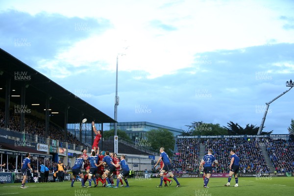 190517 - Leinster v Scarlets - Guinness PRO12 Semi Final - Aaron Shingler of Scarlets wins the line out