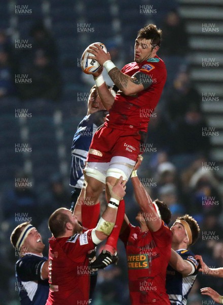 230213 Leinster v Scarlets - RaboDirect Pro 12 - Scarlets' Josh Turnbull wins lineout ball 