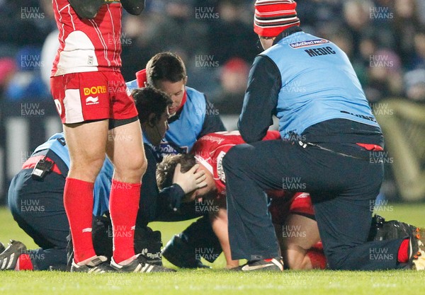 30/11/13 - Leinster v Scarlets - RaboDirect Pro 12Aled Thomas of Scarlets receives attention (c) Huw Evans Picture Agency