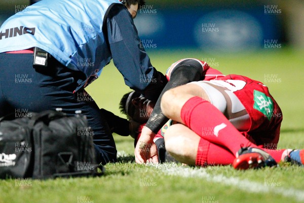 30/11/13 - Leinster v Scarlets - RaboDirect Pro 12Gareth Maule of  Scarlets receives attention (c) Huw Evans Picture Agency