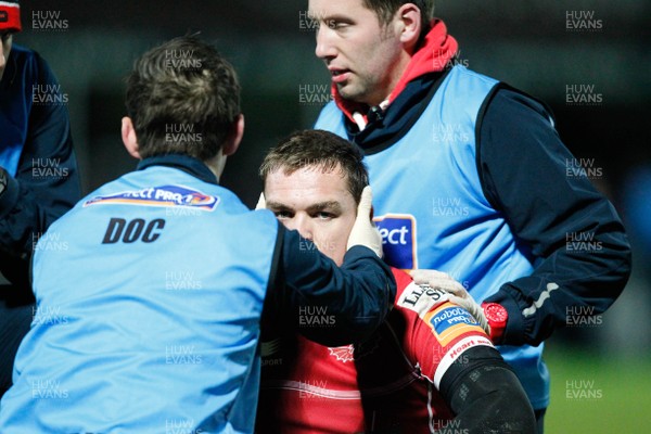 30/11/13 - Leinster v Scarlets - RaboDirect Pro 12Gareth Maule of  Scarlets receives attention (c) Huw Evans Picture Agency