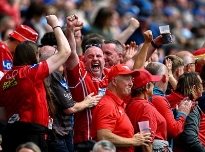 310525 - Leinster v Scarlets - United Rugby Championship Quarter-Final - Scarlets supporters celebrate their side's first try