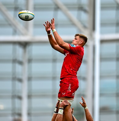 310525 - Leinster v Scarlets - United Rugby Championship Quarter-Final - Taine Plumtree of Scarlets wins the line out