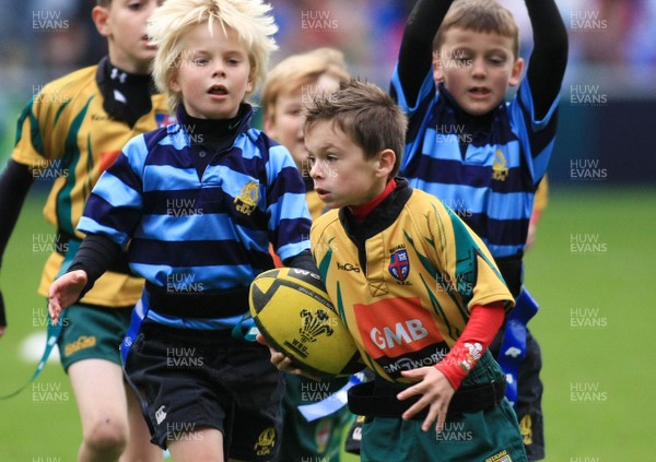 23.10.11 Cardiff Blues v Scarlets - LV=Cup - Blues' U8's tag Llandaff (Black/blue) v Beddau 