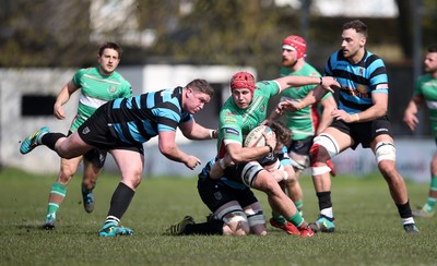 Welsh Rugby pics - Llandovery RFC 17-35 Cardiff RFC 060419