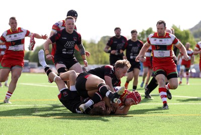 030525 - Llandovery RFC v Pontypool RFC - Super Rygbi Cymru Quarter Final - Harri Doel of Llandovery crashes over the line to score a try