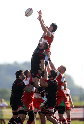 030525 - Llandovery RFC v Pontypool RFC - Super Rygbi Cymru Quarter Final - Ed Scragg of Llandovery wins the line out
