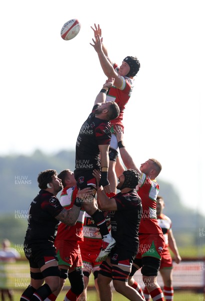 030525 - Llandovery RFC v Pontypool RFC - Super Rygbi Cymru Quarter Final - Ed Scragg of Llandovery wins the line out