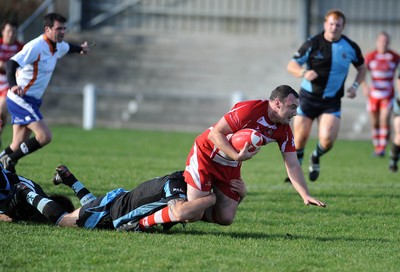 13.11.10. Llandovery v Cardiff- Principality Premiership. Dean Fitzgerald of Llandovery. 