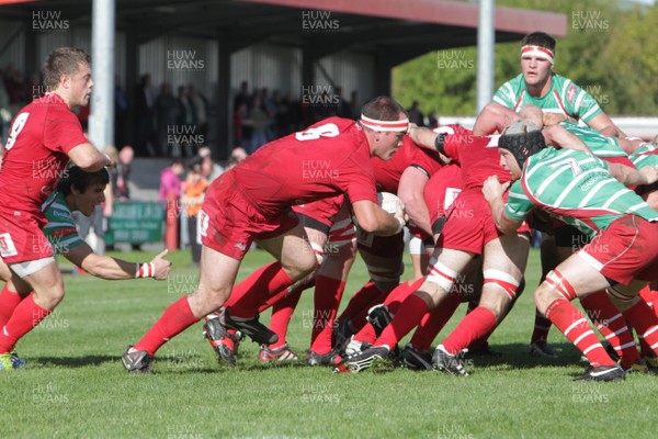 061012 - Llandovery v Llanelli - Welsh Premiership - Llanelli's Stuart Leech breaks from the base of a scrum