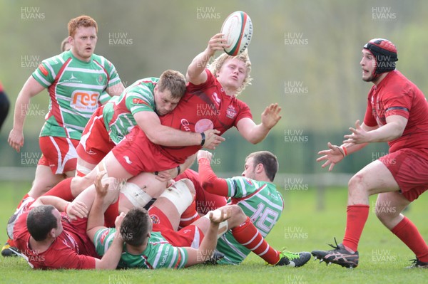 110513 - Llandovery v Llanelli - Principality Premiership Play Off -Daniel Thomas of Llanelli wins the ball 