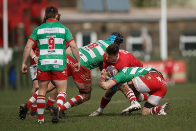 250323 - Llandovery v Llanelli - Indigo Group Premiership - Joe Hutchings of Llanelli is tackled by Iestyn Rees and Stuart Worrall of Llandovery