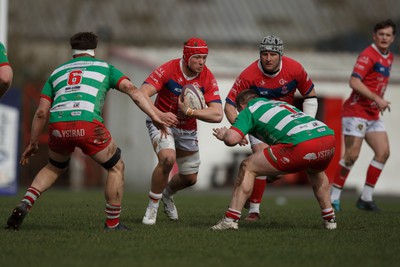 250323 - Llandovery v Llanelli - Indigo Group Premiership - Ben Williams of Llanelli on the charge